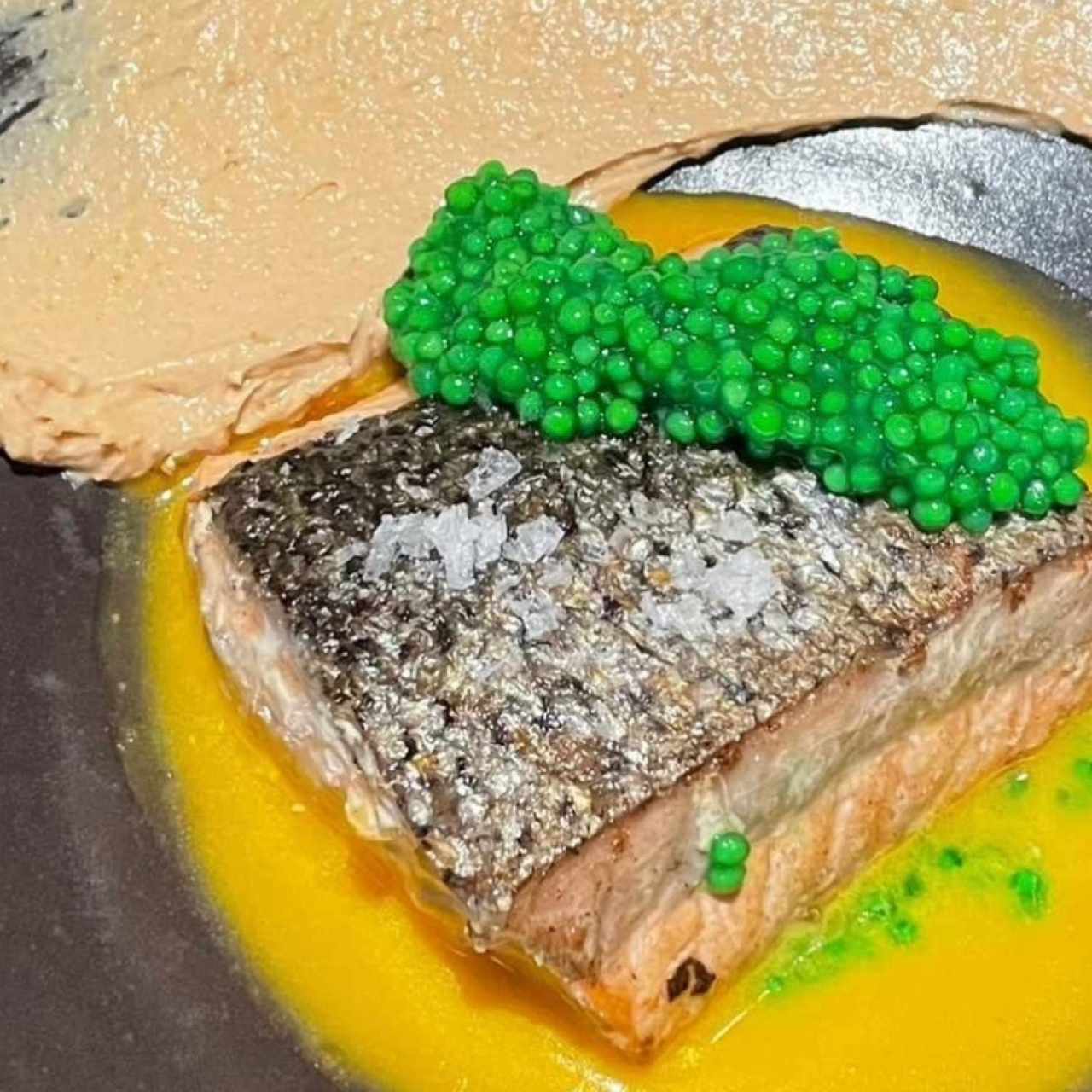 Salmon