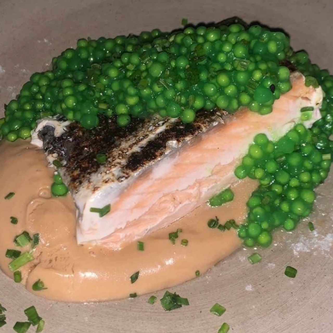 Salmón
