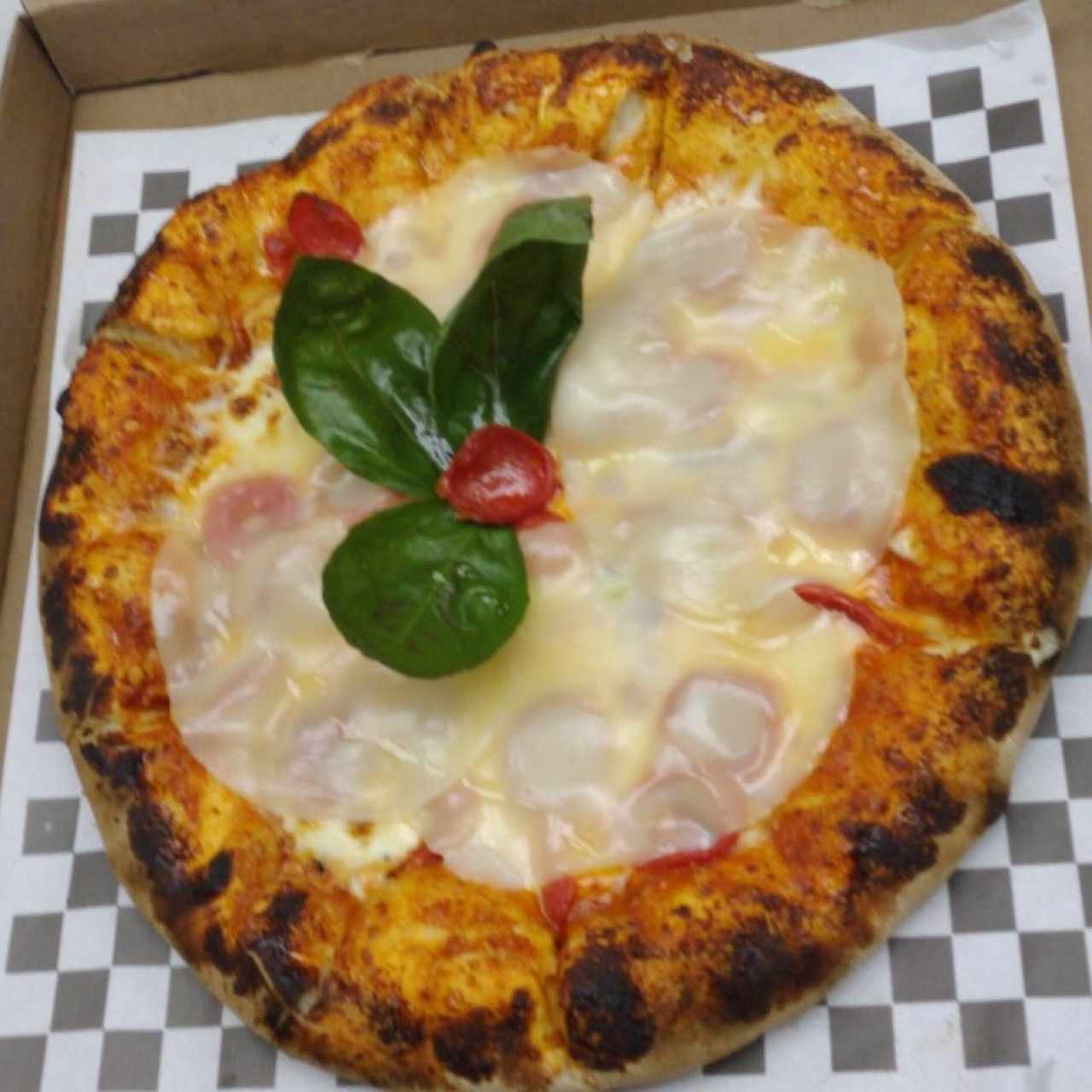 TOP - Provolone Peperoni