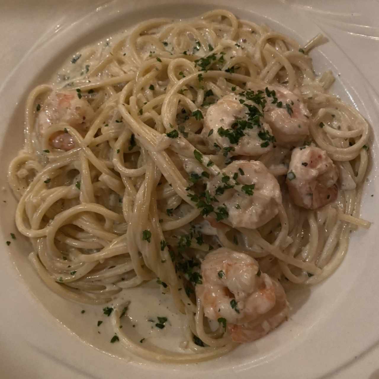 Di Mare Pasta Alfredo con Camarones