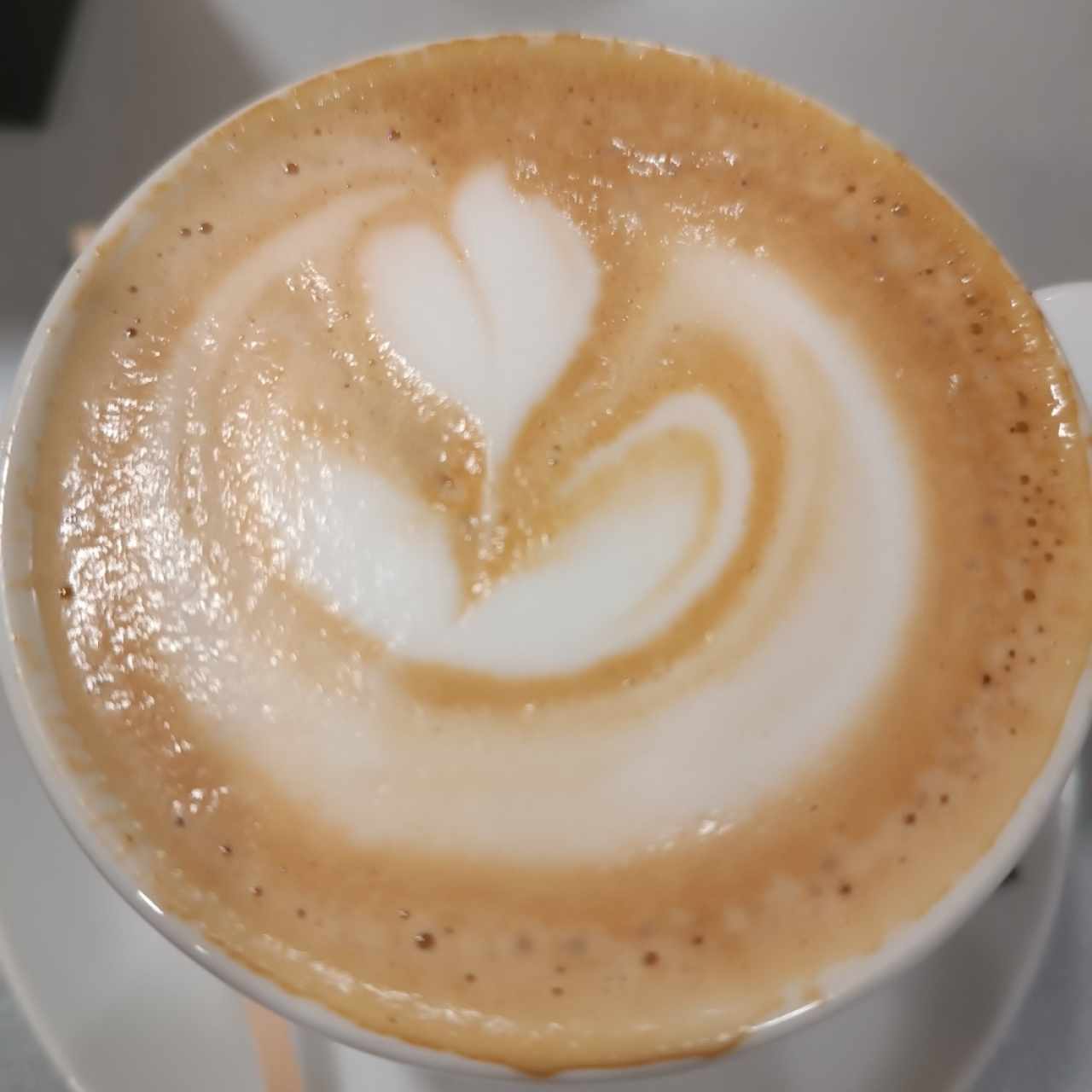 capuchino