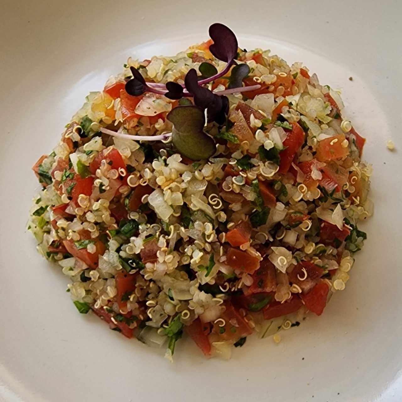 Tabule