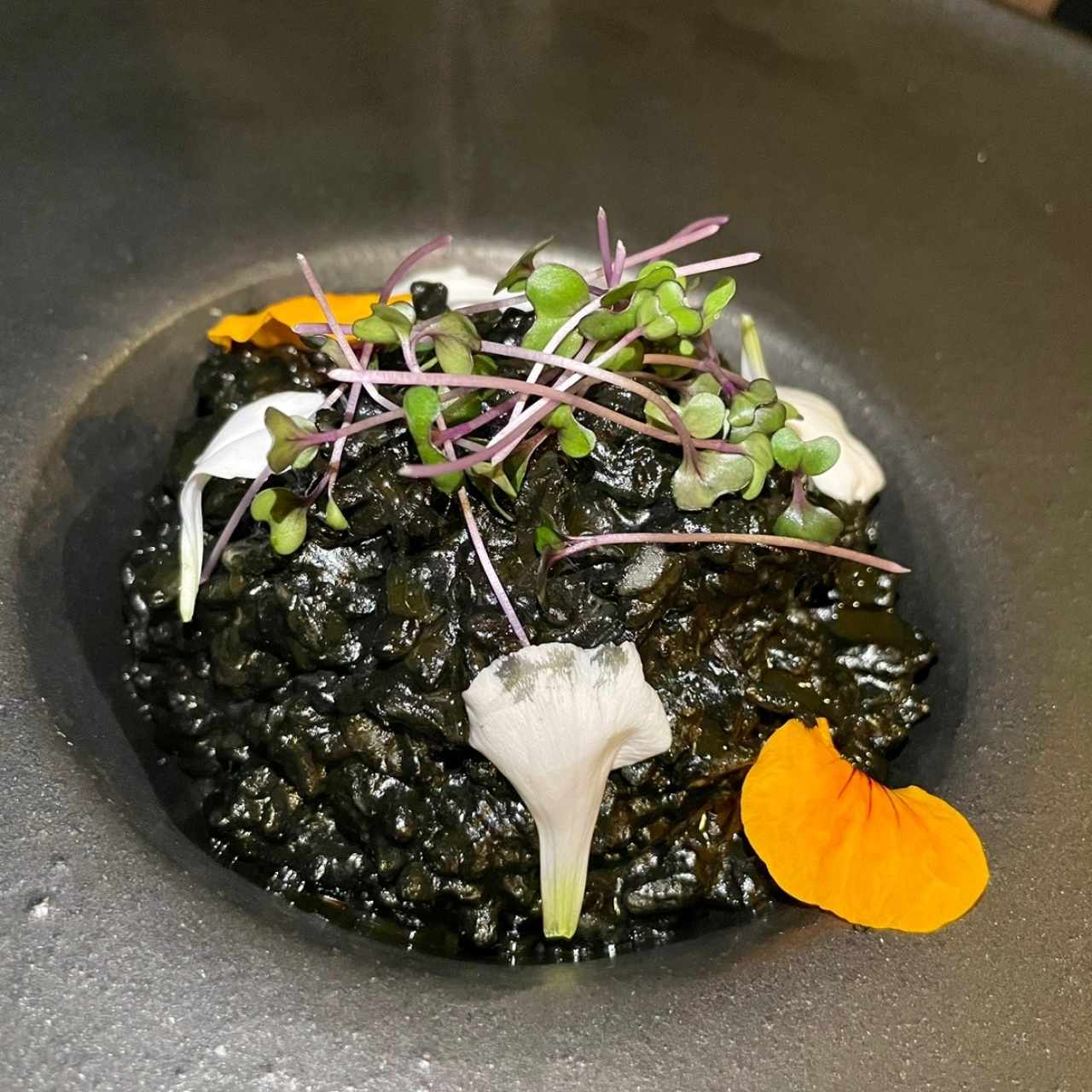 Risotto calamares