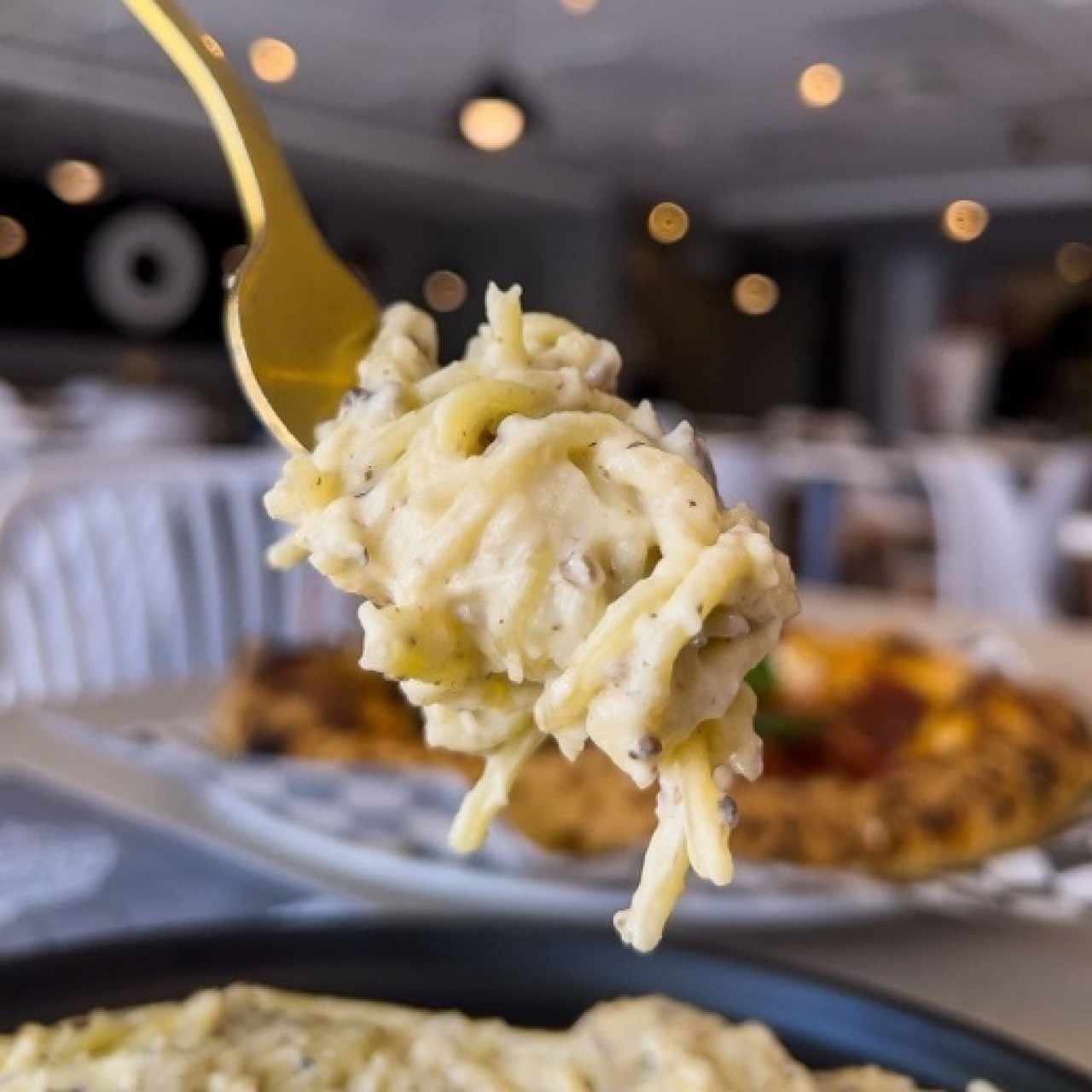 Spaguetti alla rotta tartufata