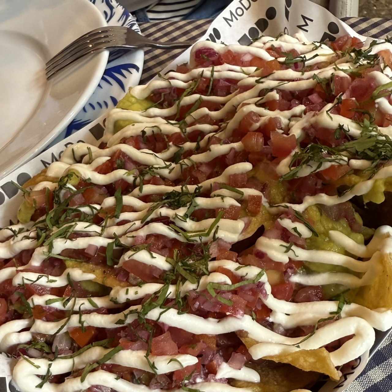 Nachos carnitas