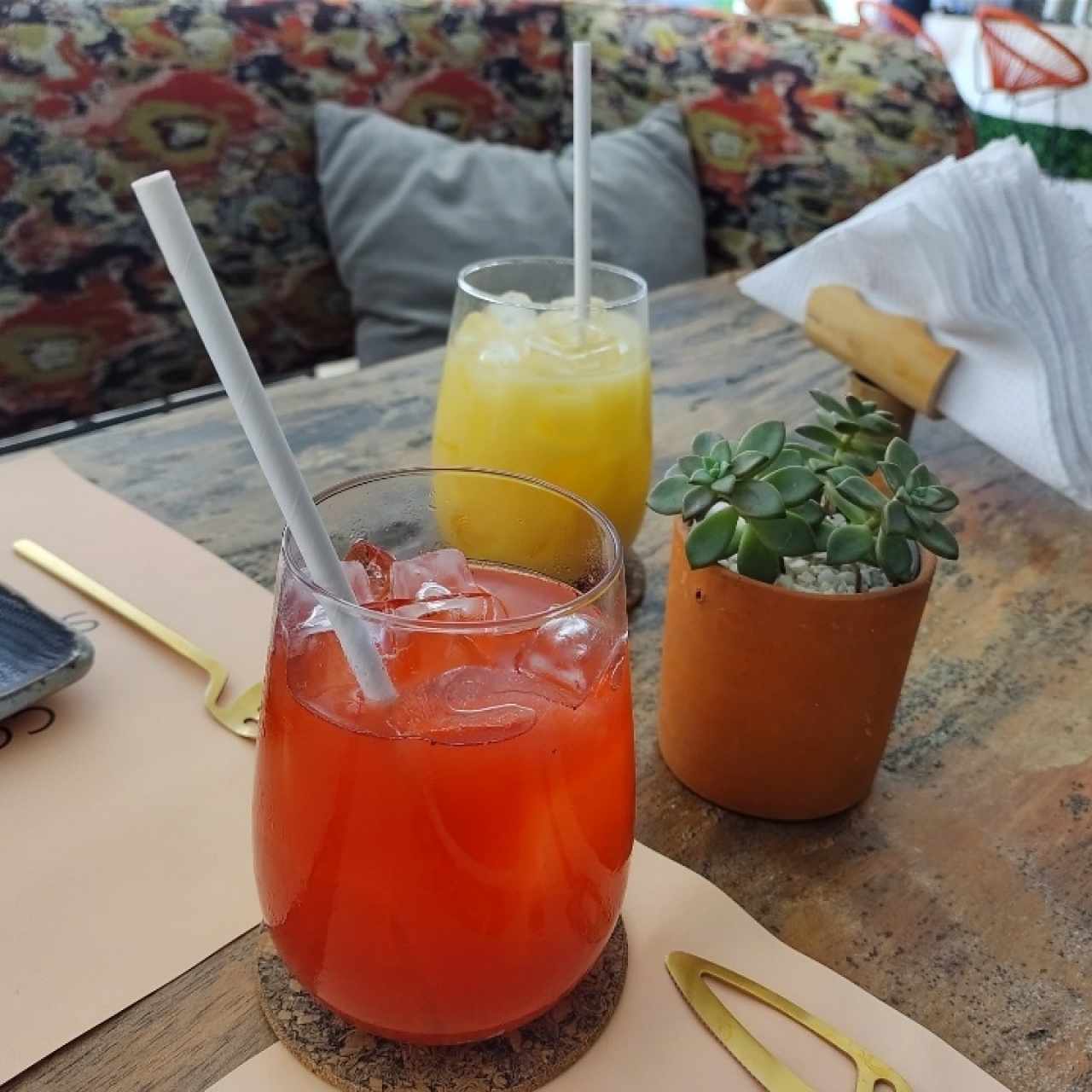Refrescos Humboldt y Salto Angel