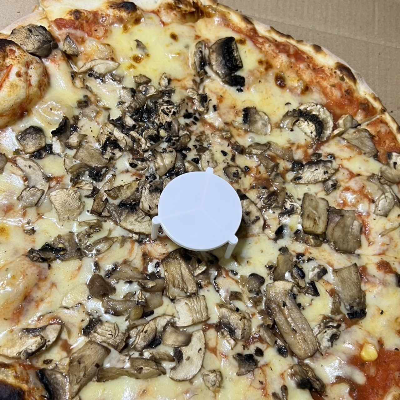 Pizza Funghi