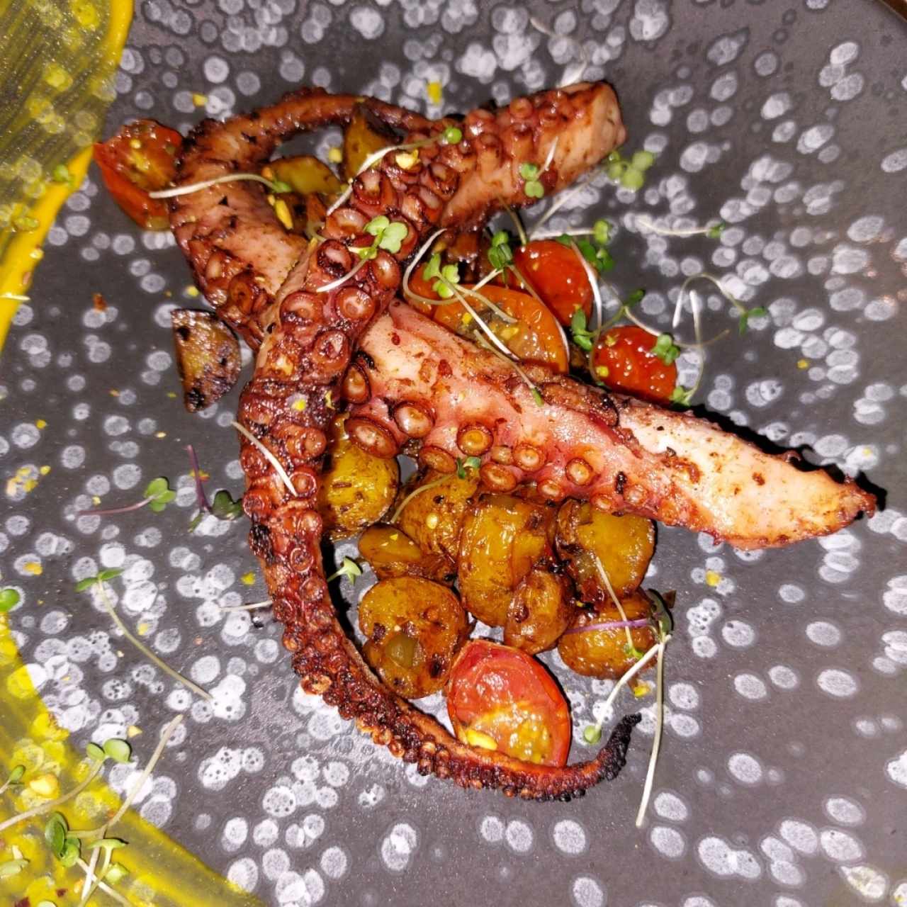 Pulpo a la Parrilla.