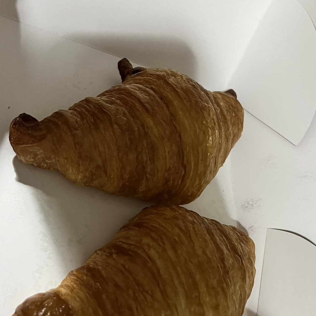 Plain Croissants
