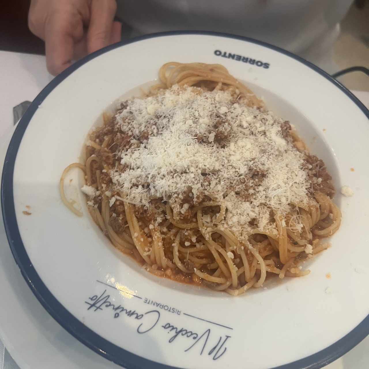 Boloñesa