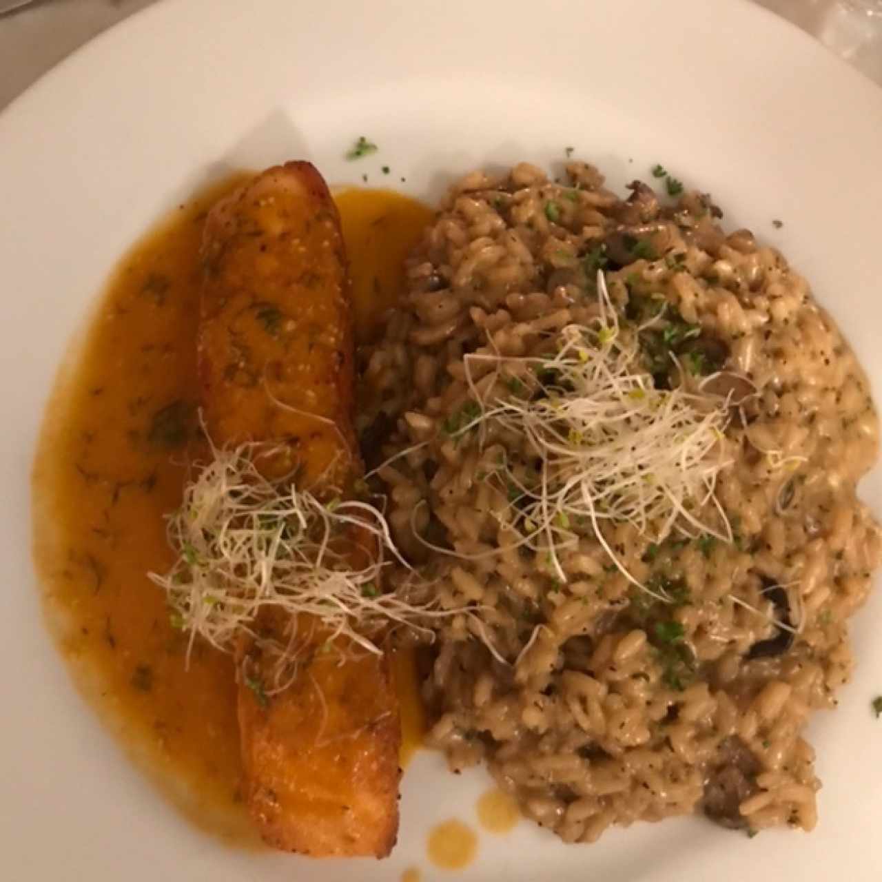 Salmón