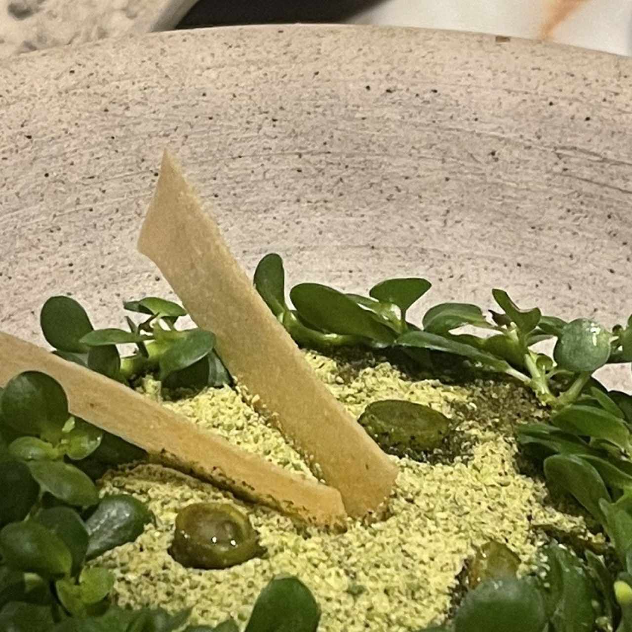 Tartar de cordero