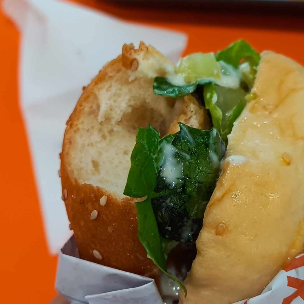 Hamburguesa 5 x 6 usd