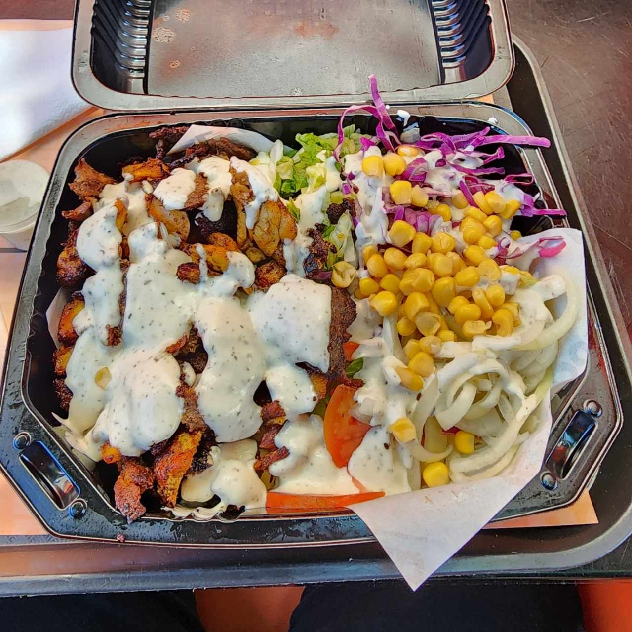 Plato full protein