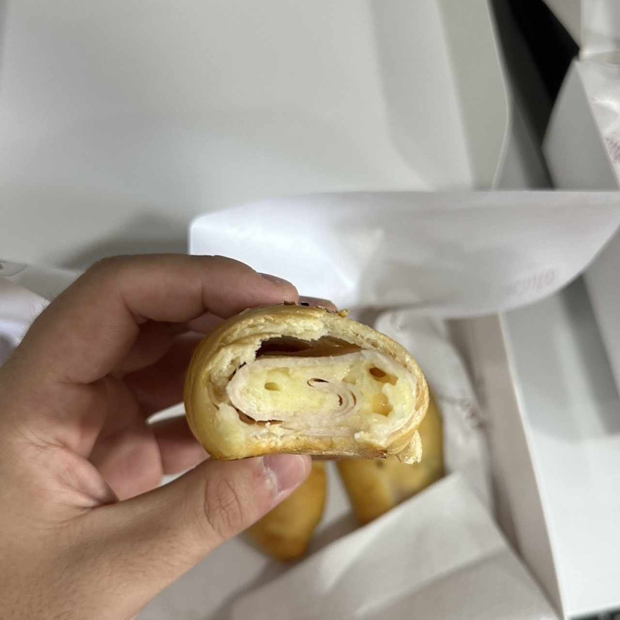 Jamon y queso paisa