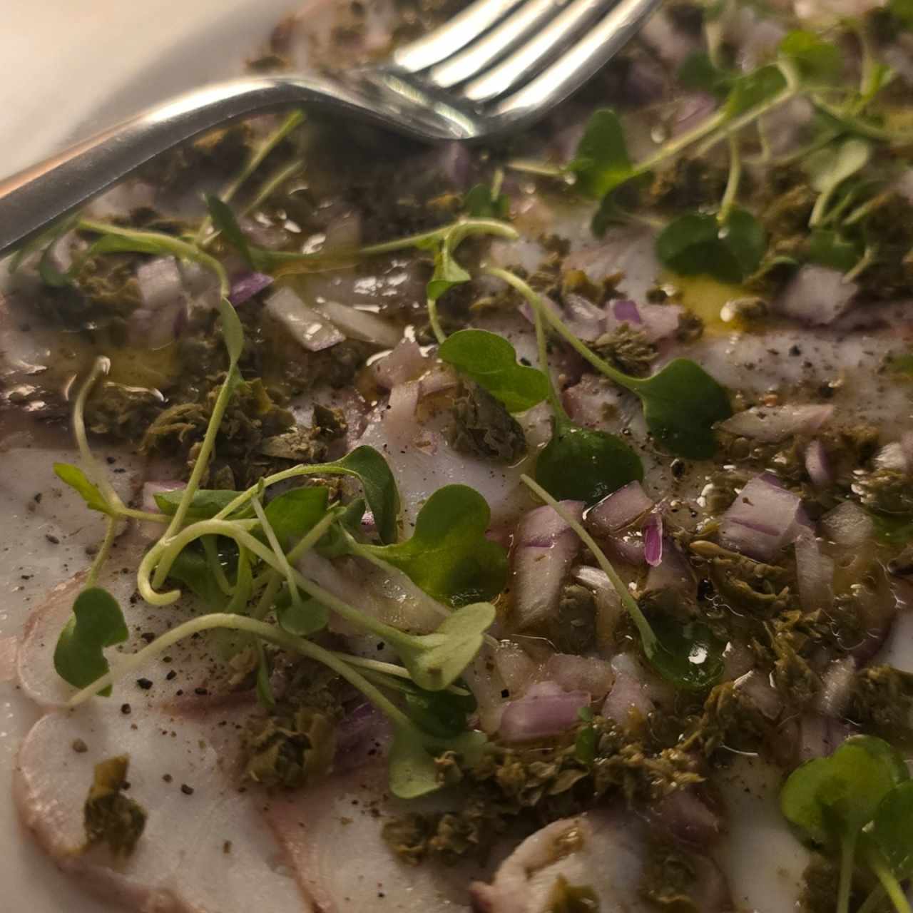 carapacho de pulpo