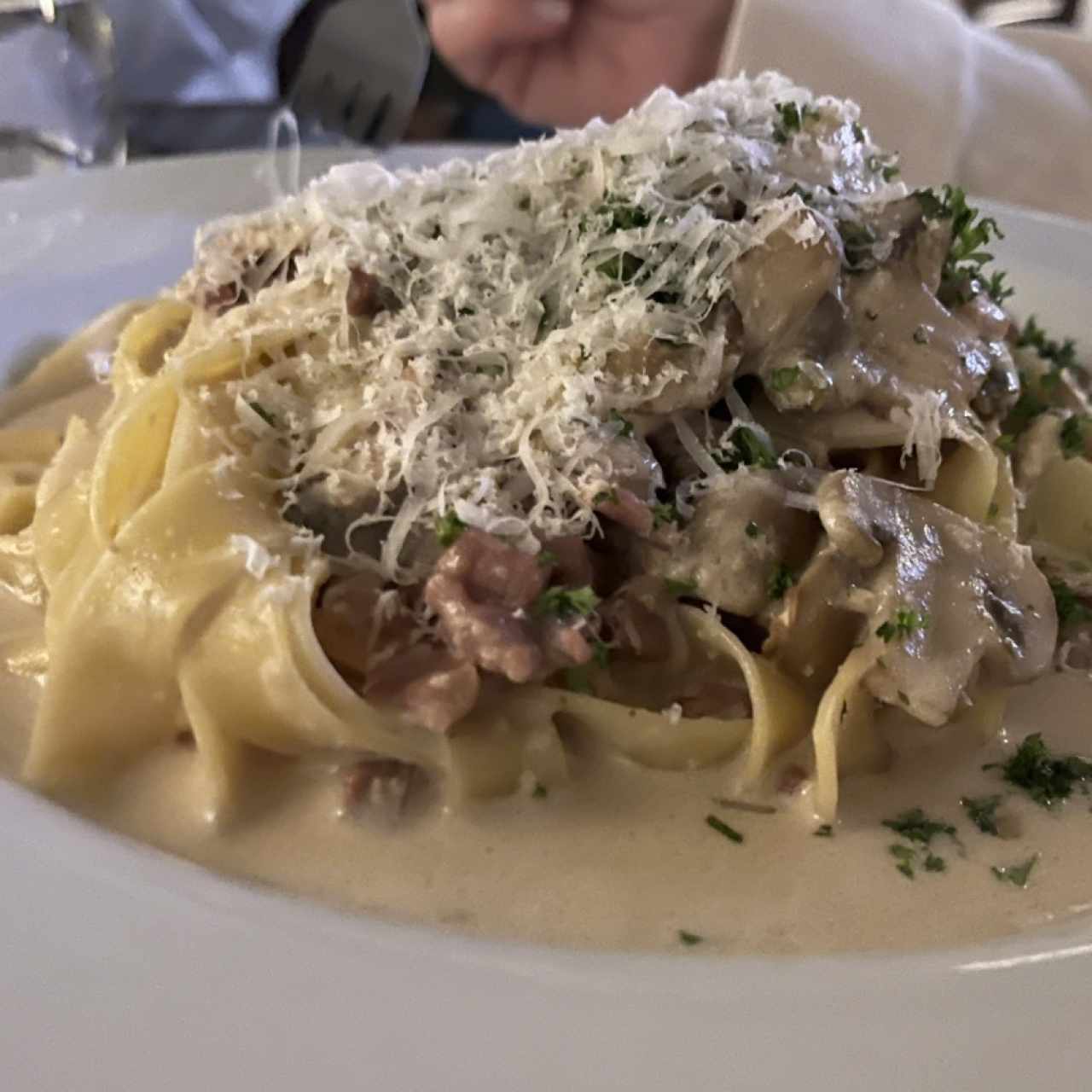Fettucini champiñones guanciale salsa graba padano pecorino