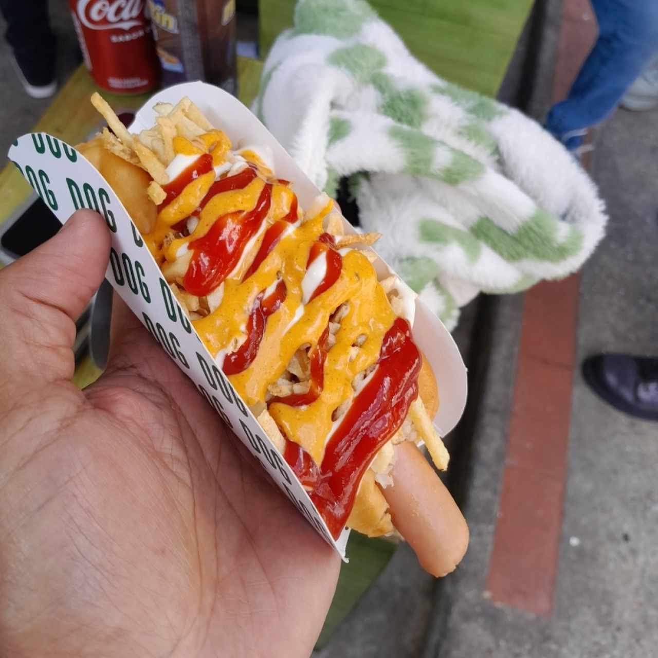 Perro con todo