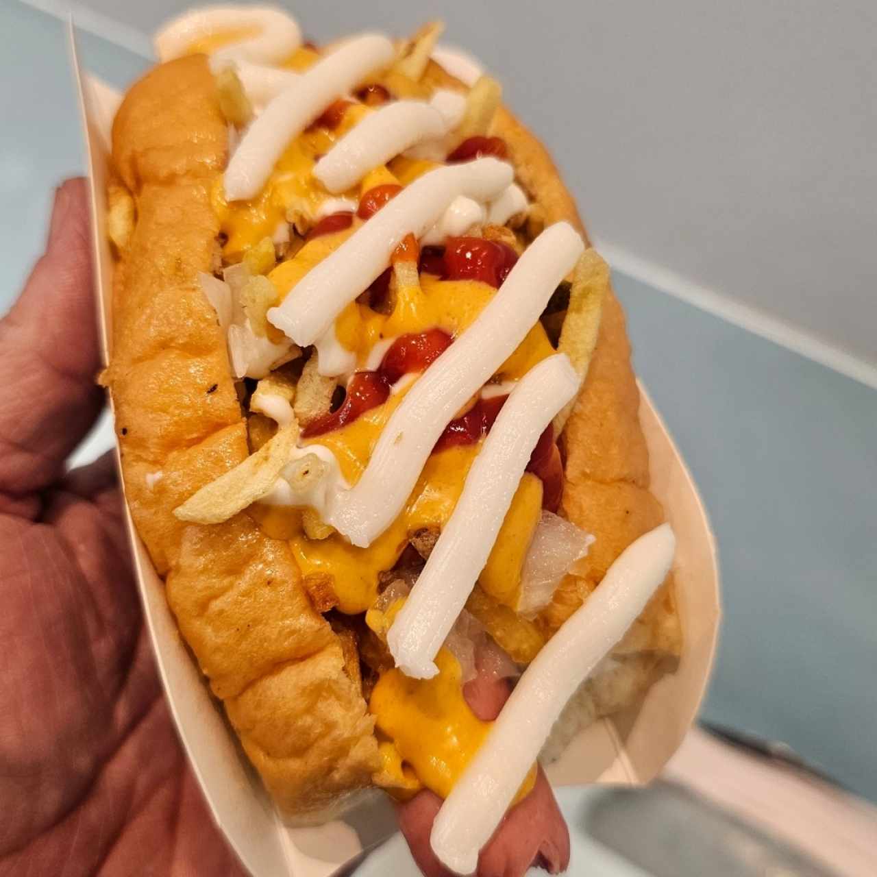 Perro