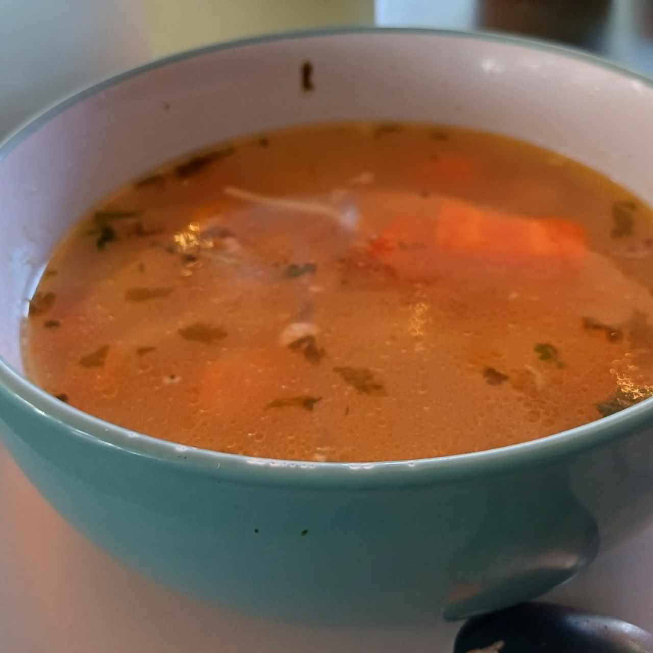 Sopa del día 