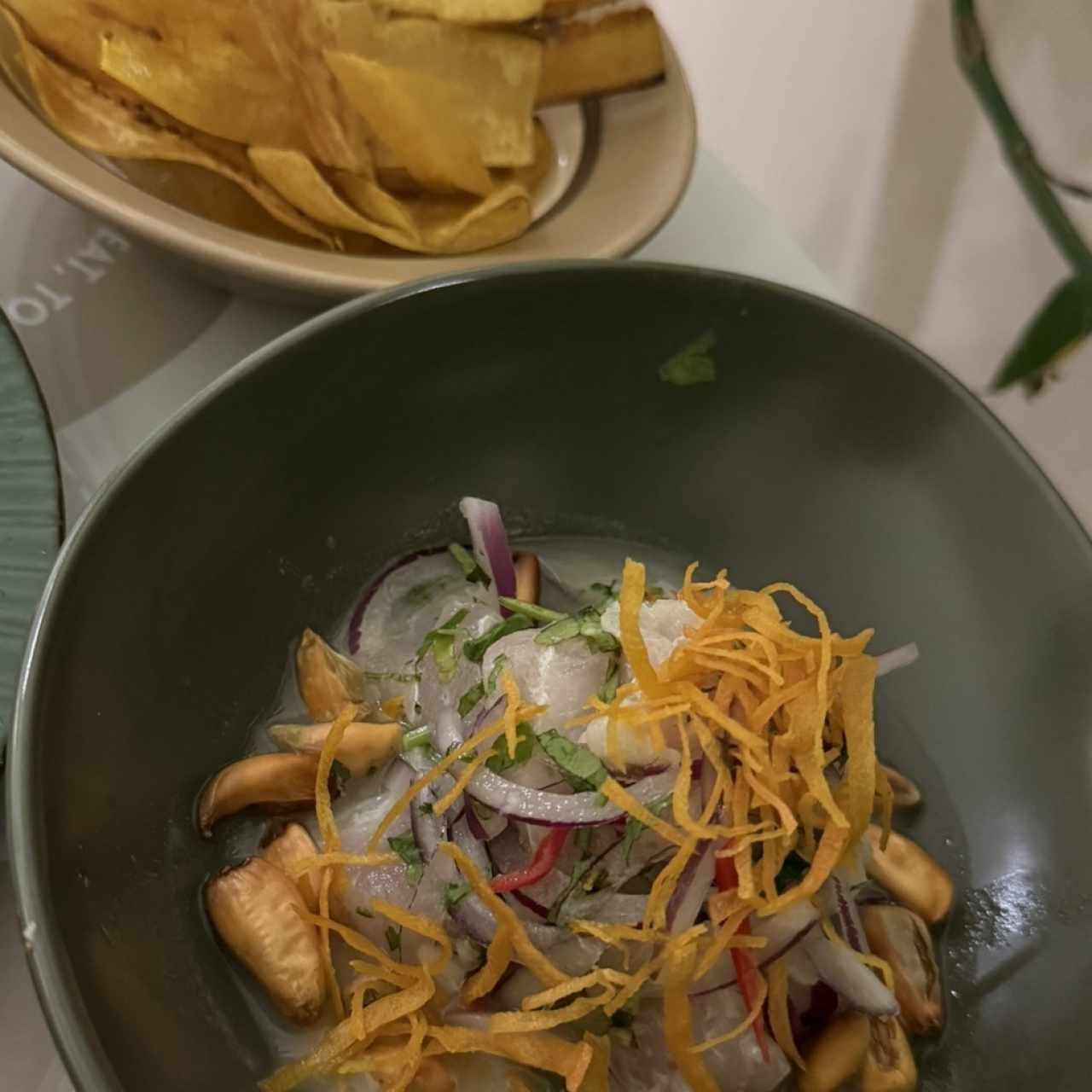 Ceviche  