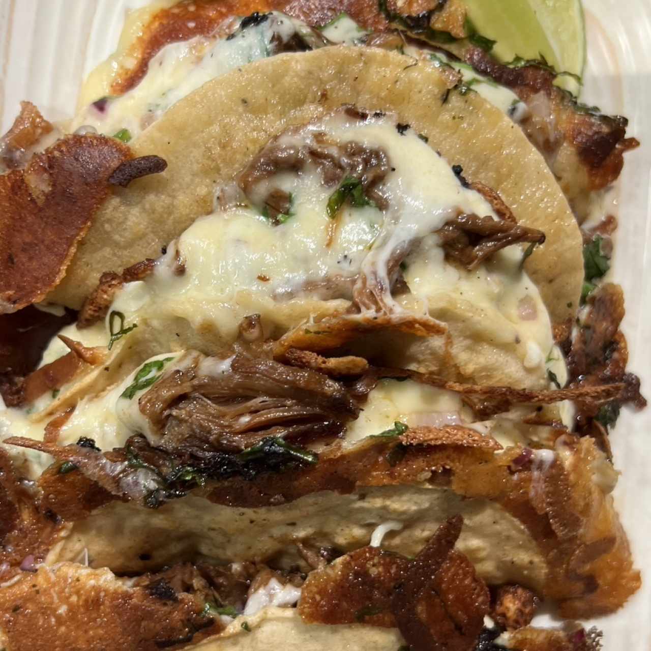 Tacos de Birria