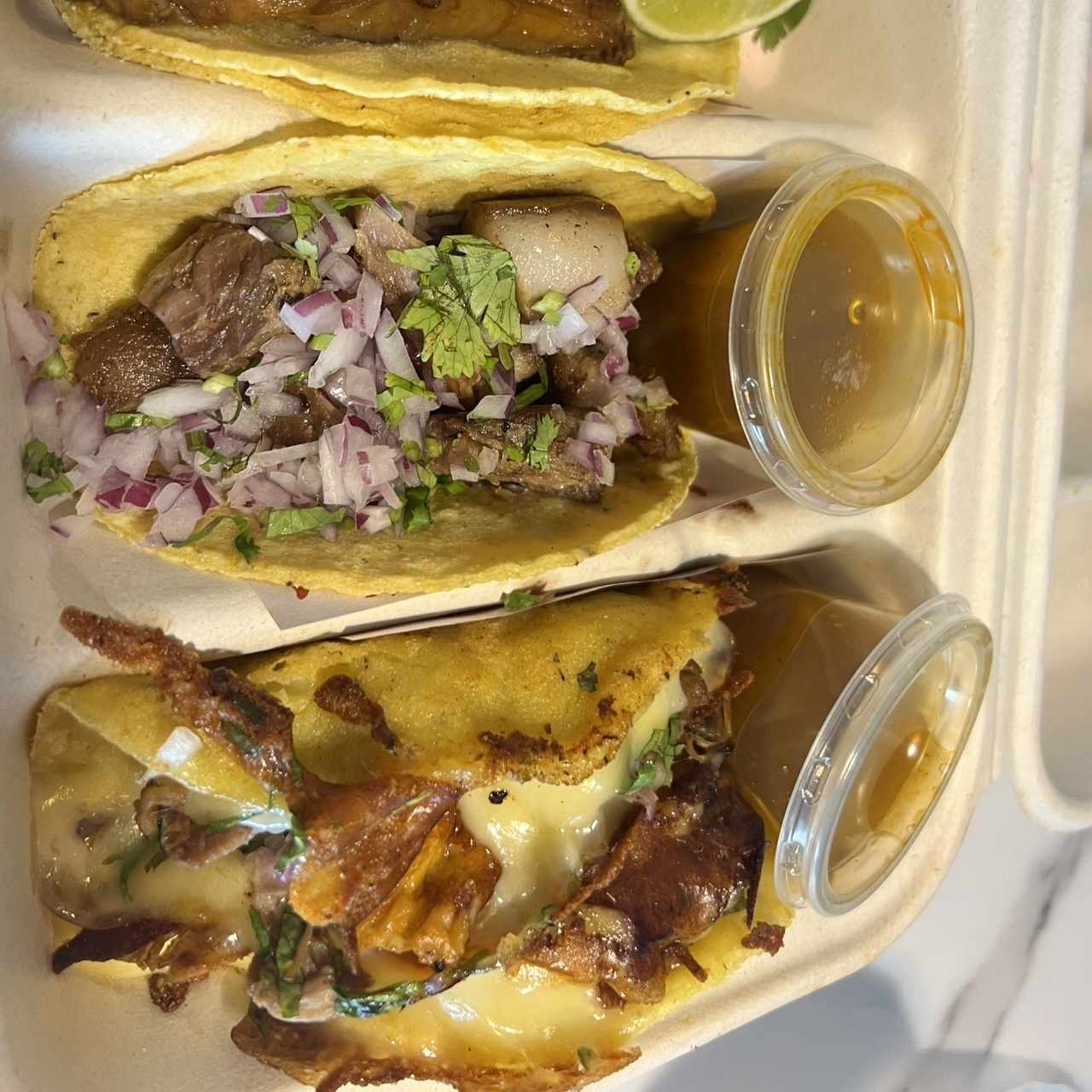 Carnitas y Birria
