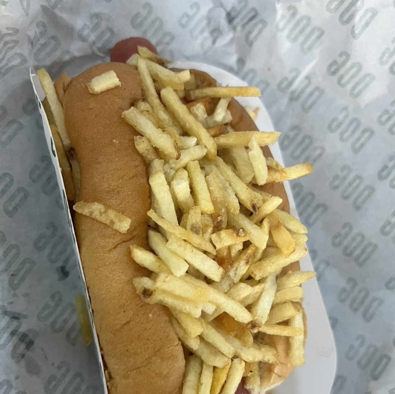 Dog