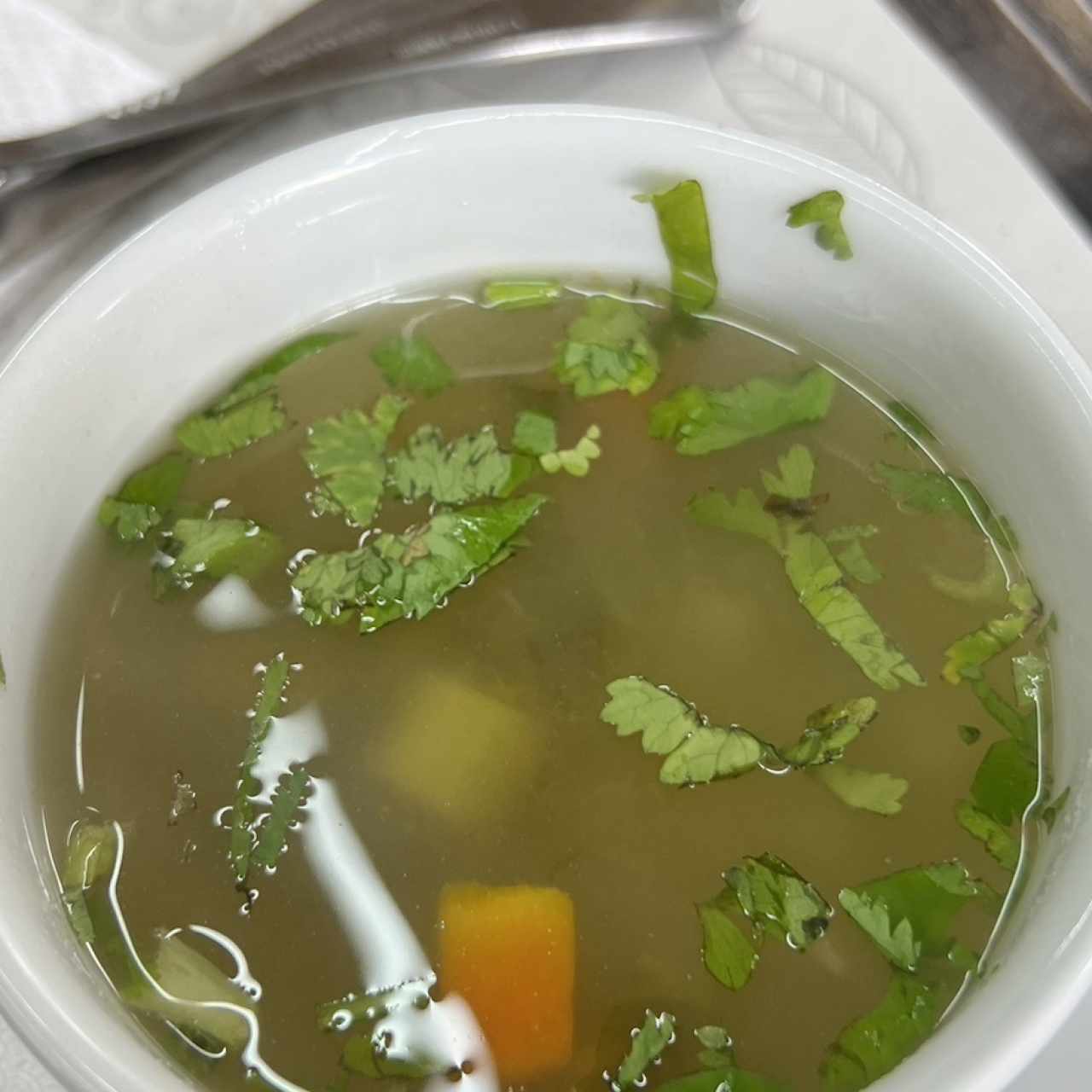Sopa del Dia