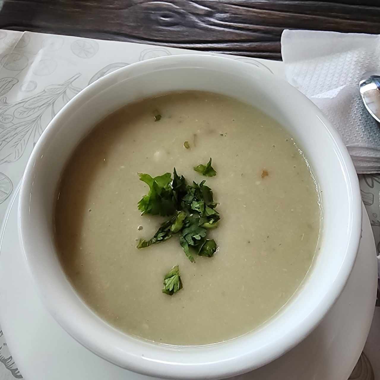 Sopa de vegetales