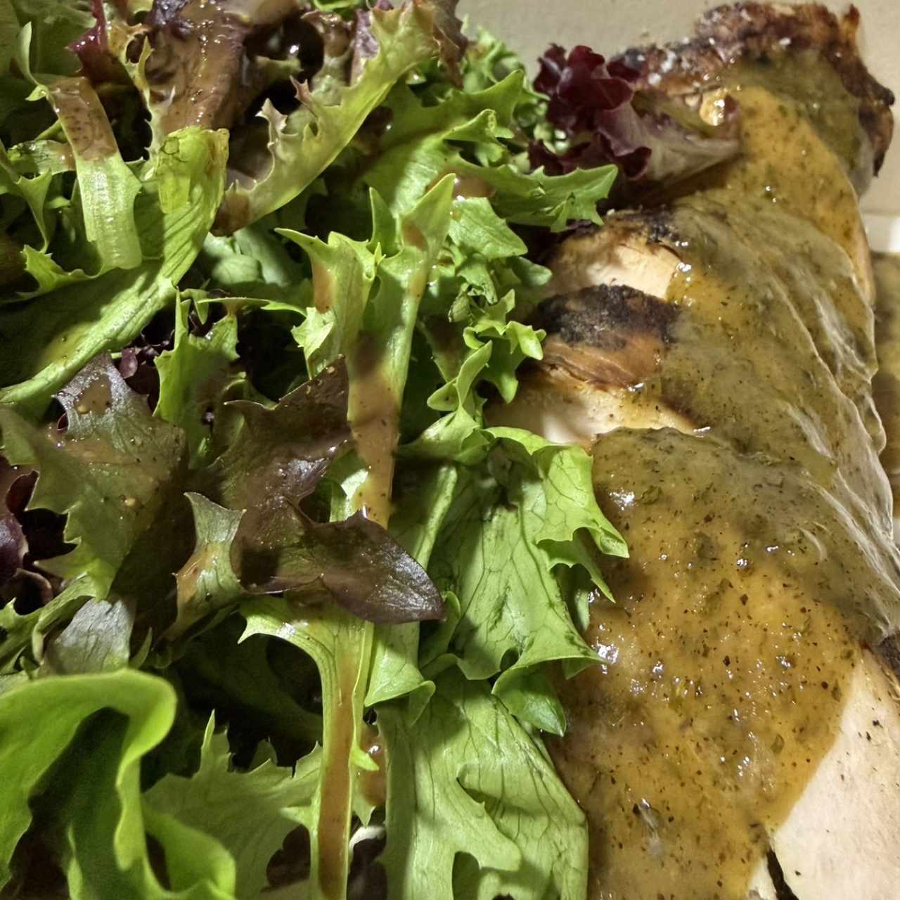 Pechuga Herb