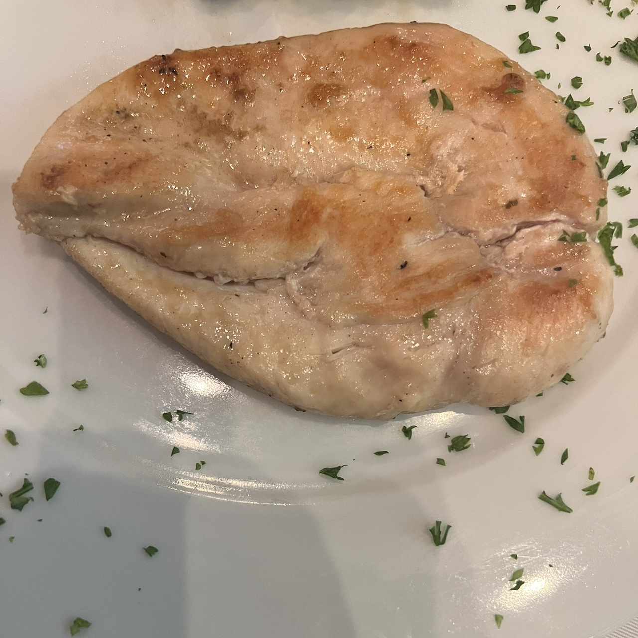 Pollo