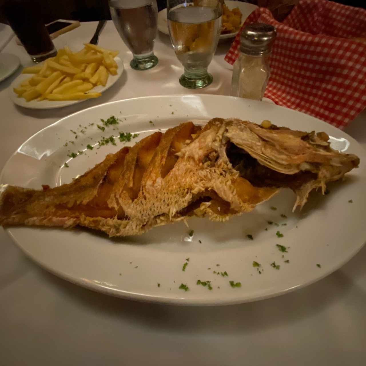 pargo clasico 
