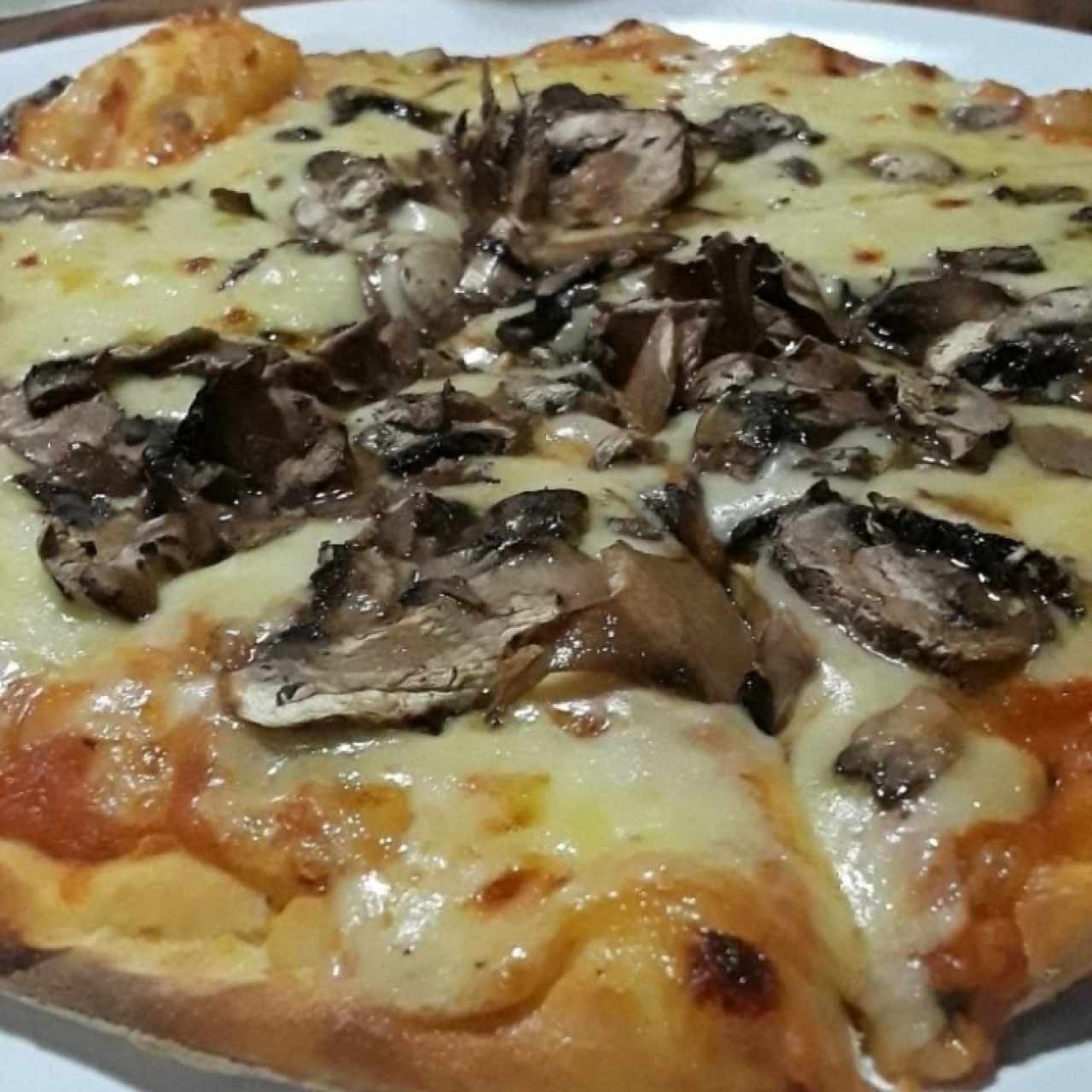 Excelente pizza en horno de leña