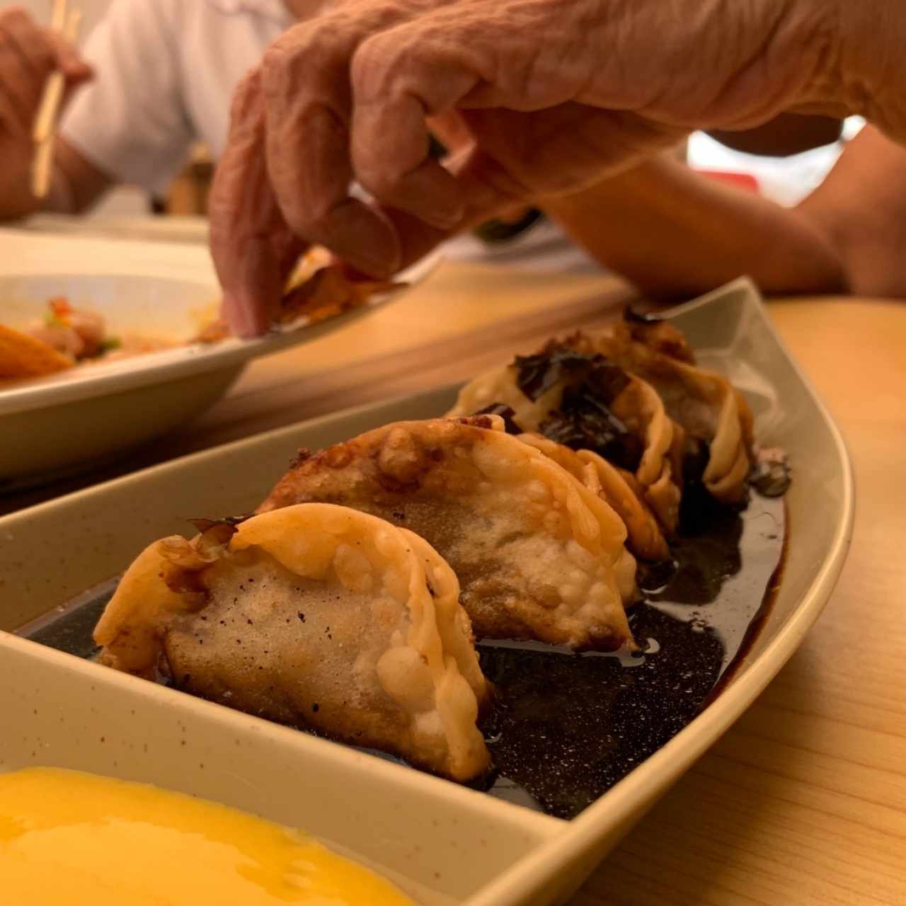 Gyozas de carne