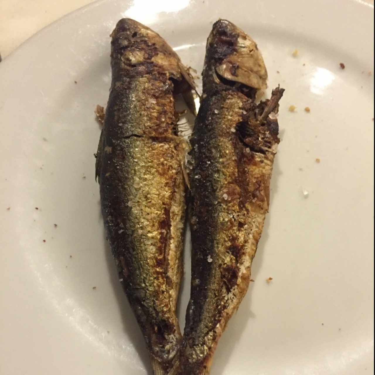 sardinas