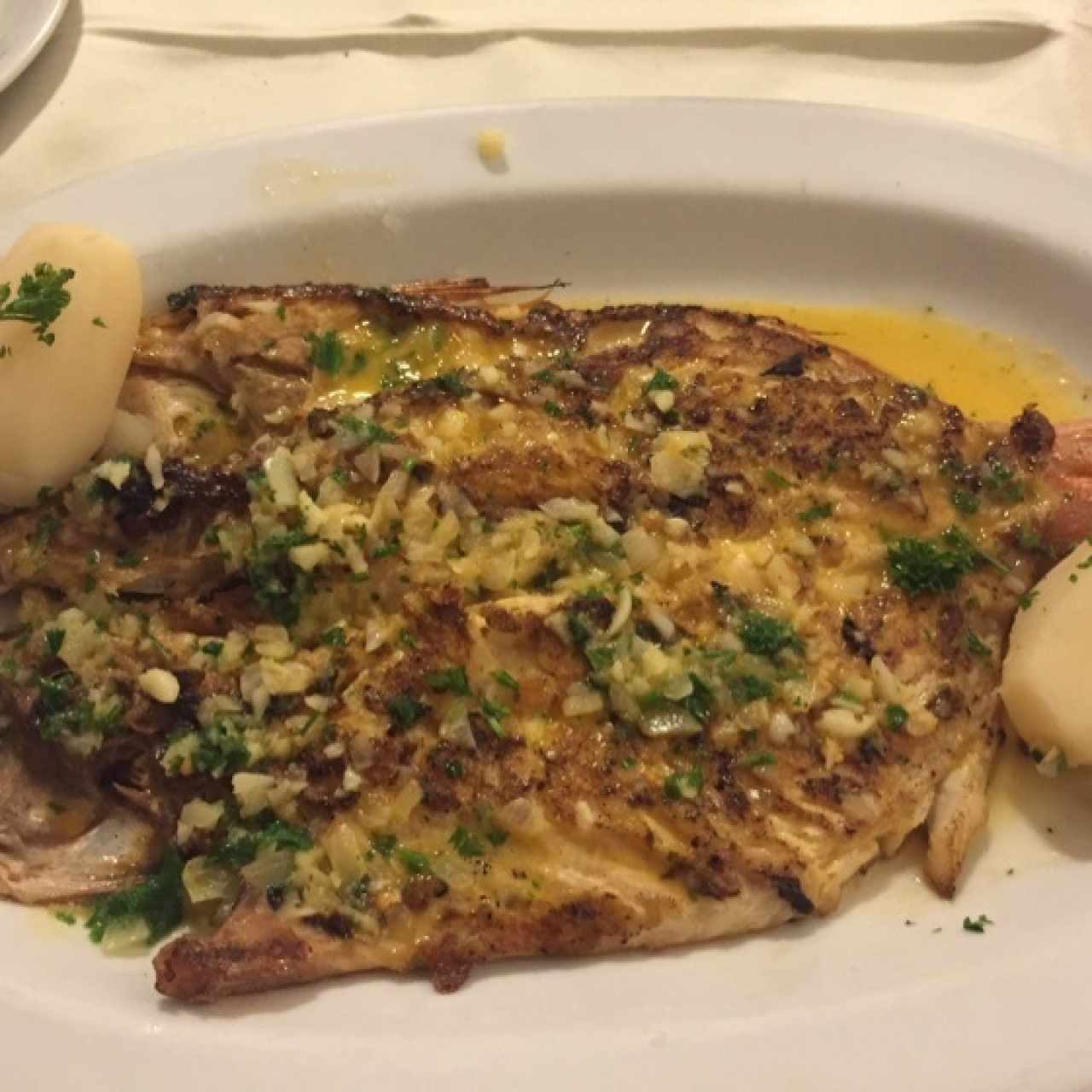 pargo 
