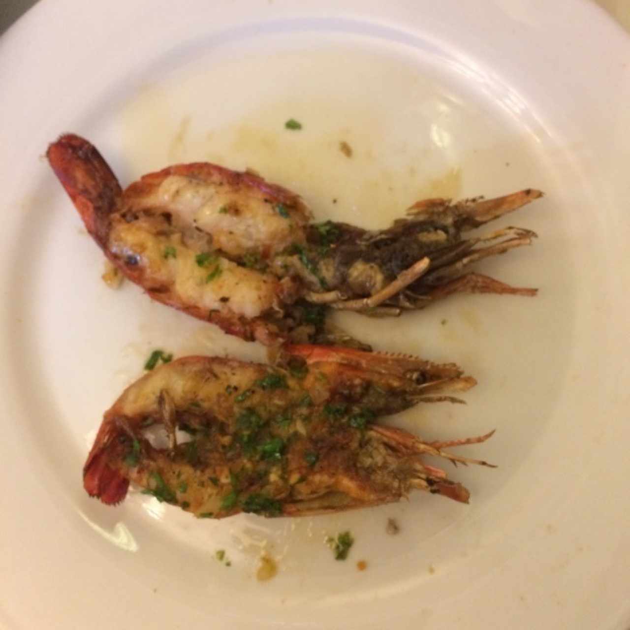 Camacutos al ajillo