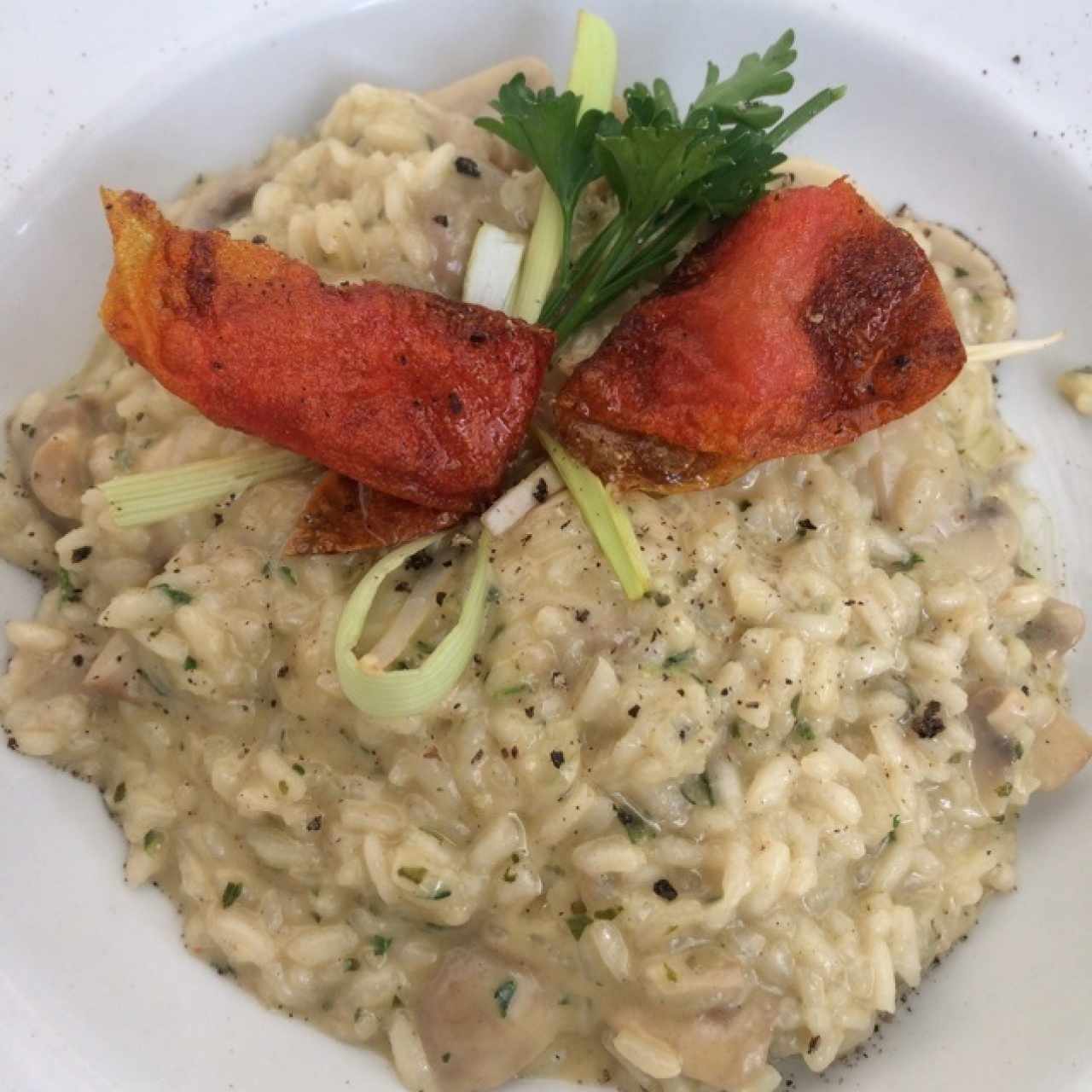 rissotto de champiñones