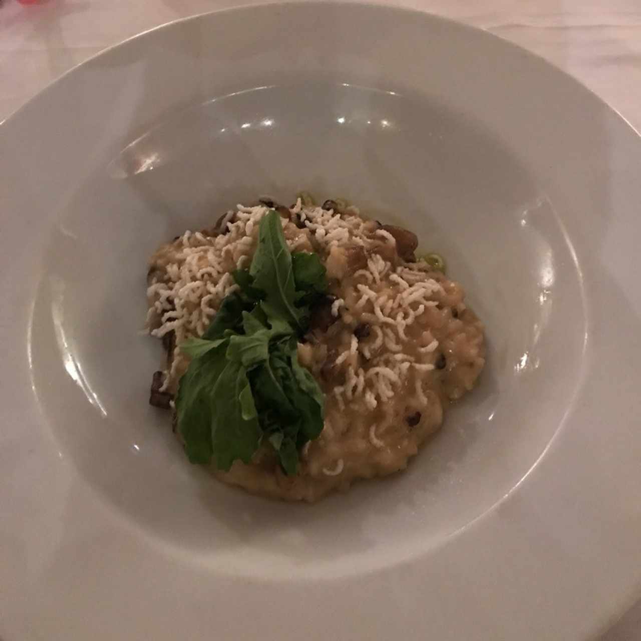 Platos Principales - Risotto Dr. Mendoza