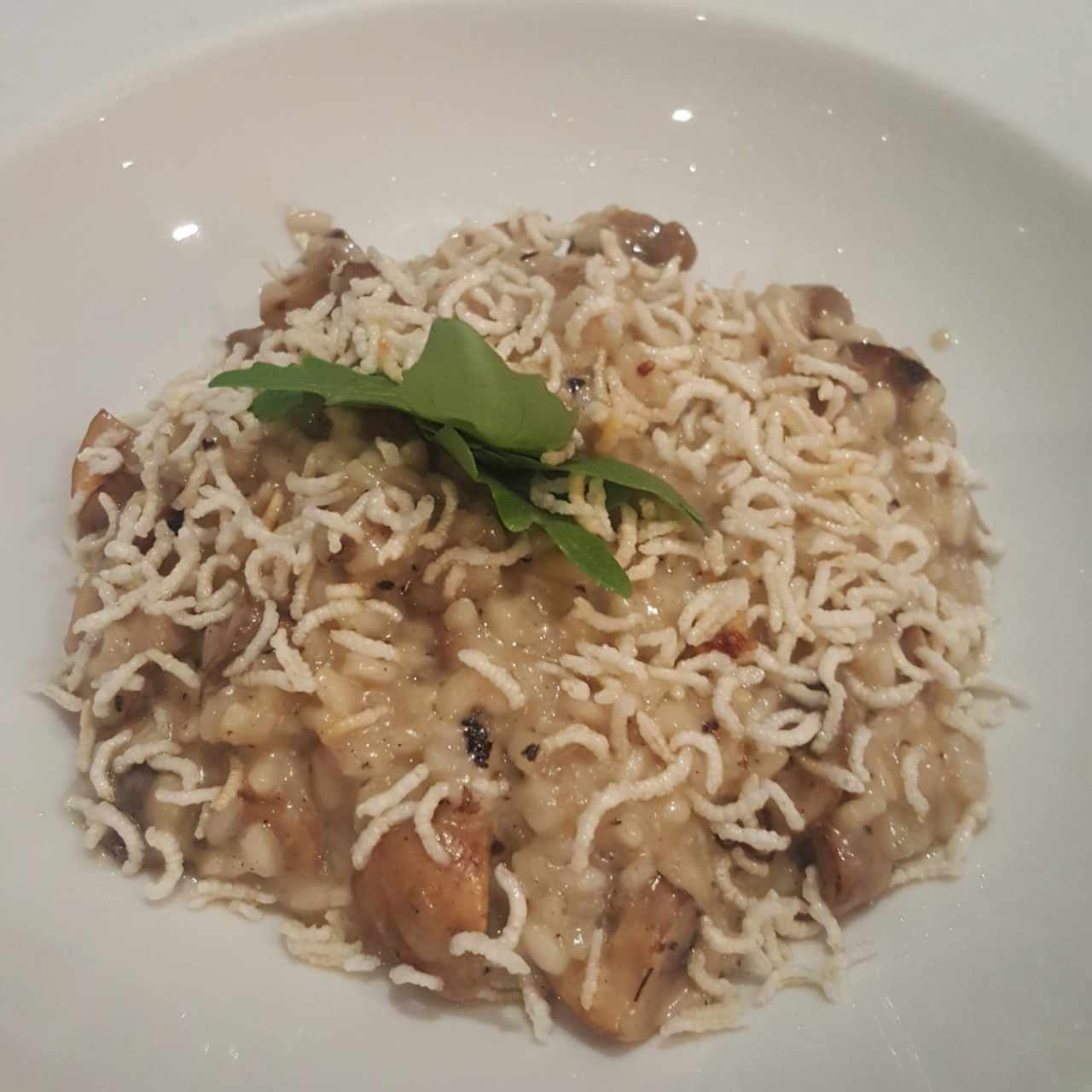 Platos Principales - Risotto Dr. Mendoza