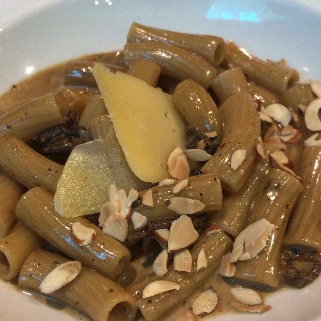 Platos Principales - Pasta Corta