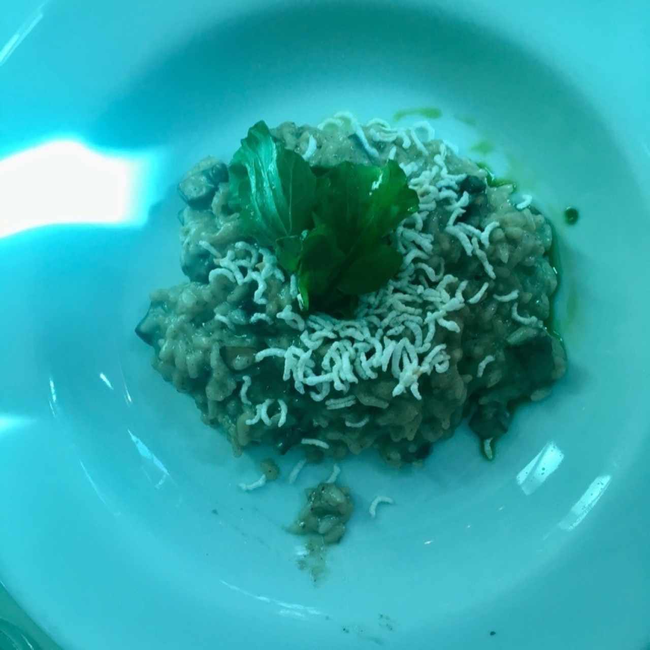 rissotto doctor mendoza
