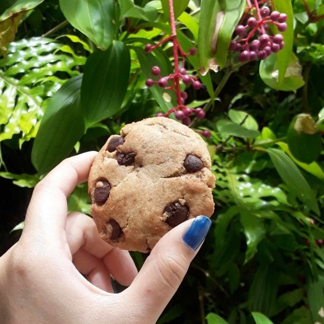 ChocoChips