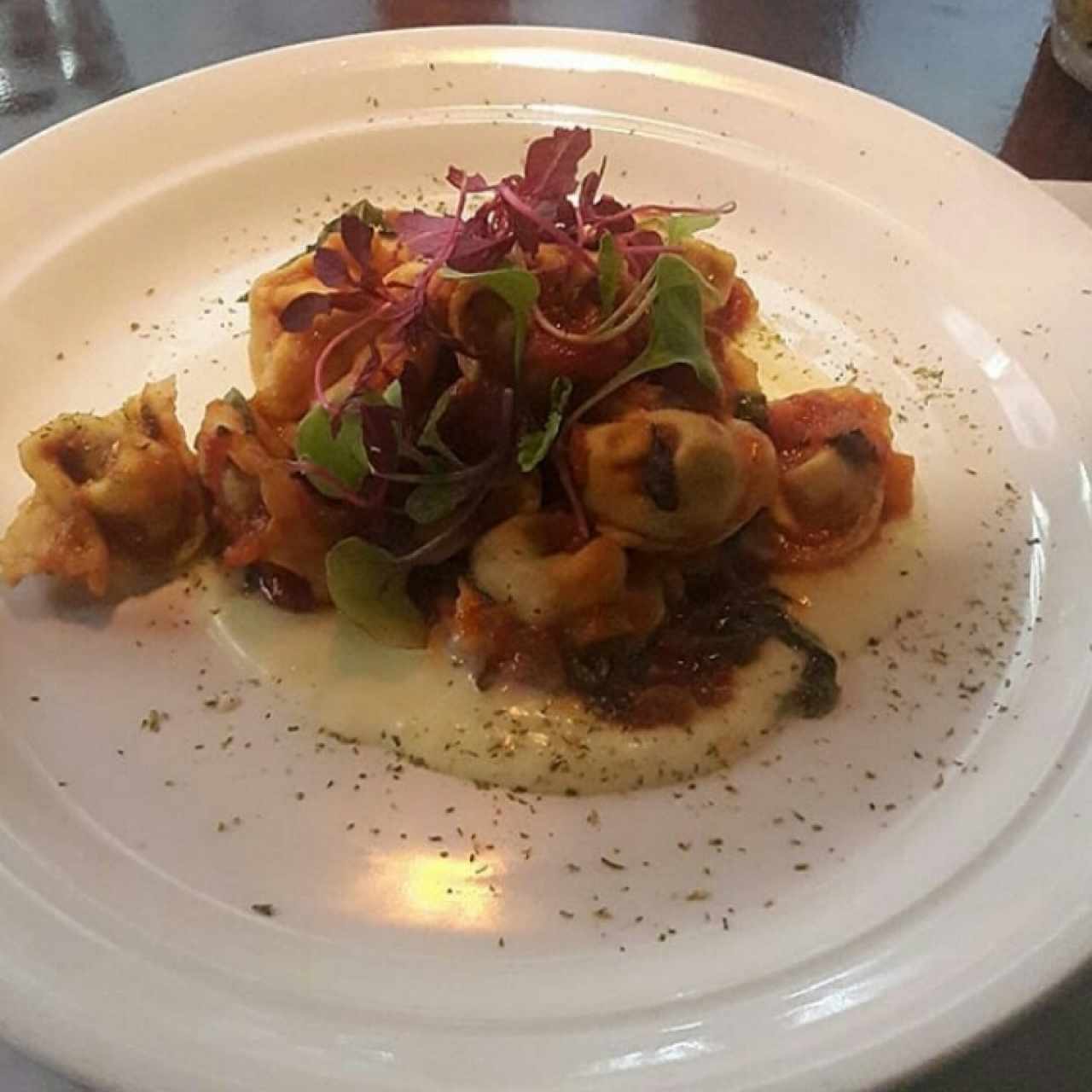 Tortellini de Carne en Ragu de Tomate y Fondue de Queso