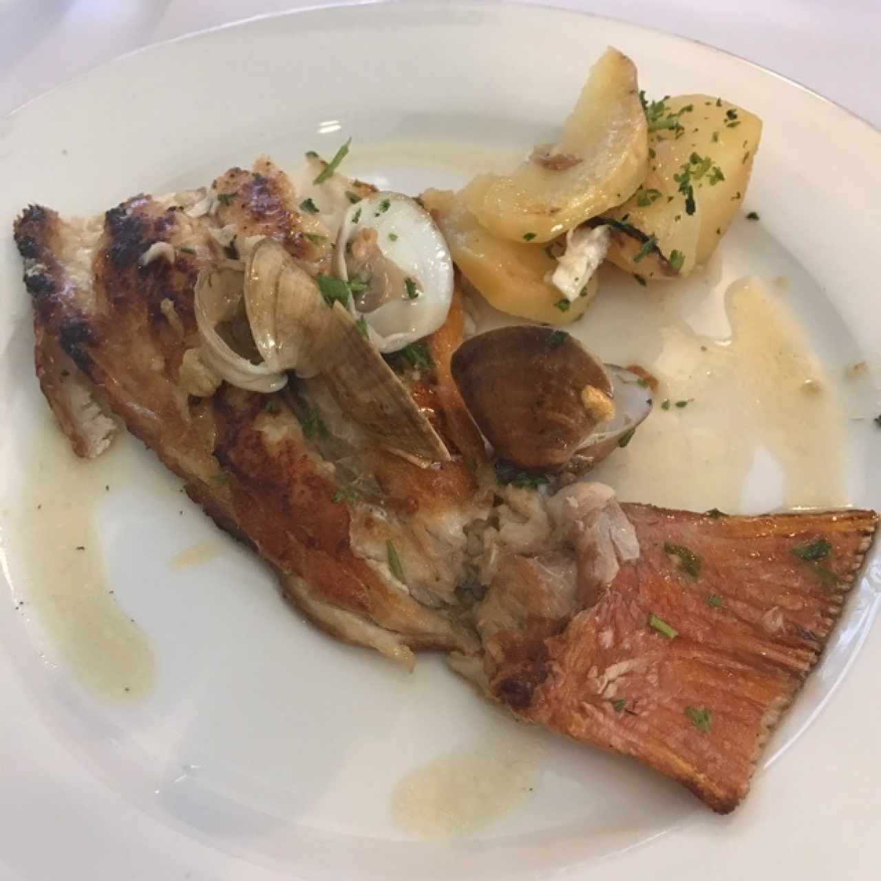 Pescado