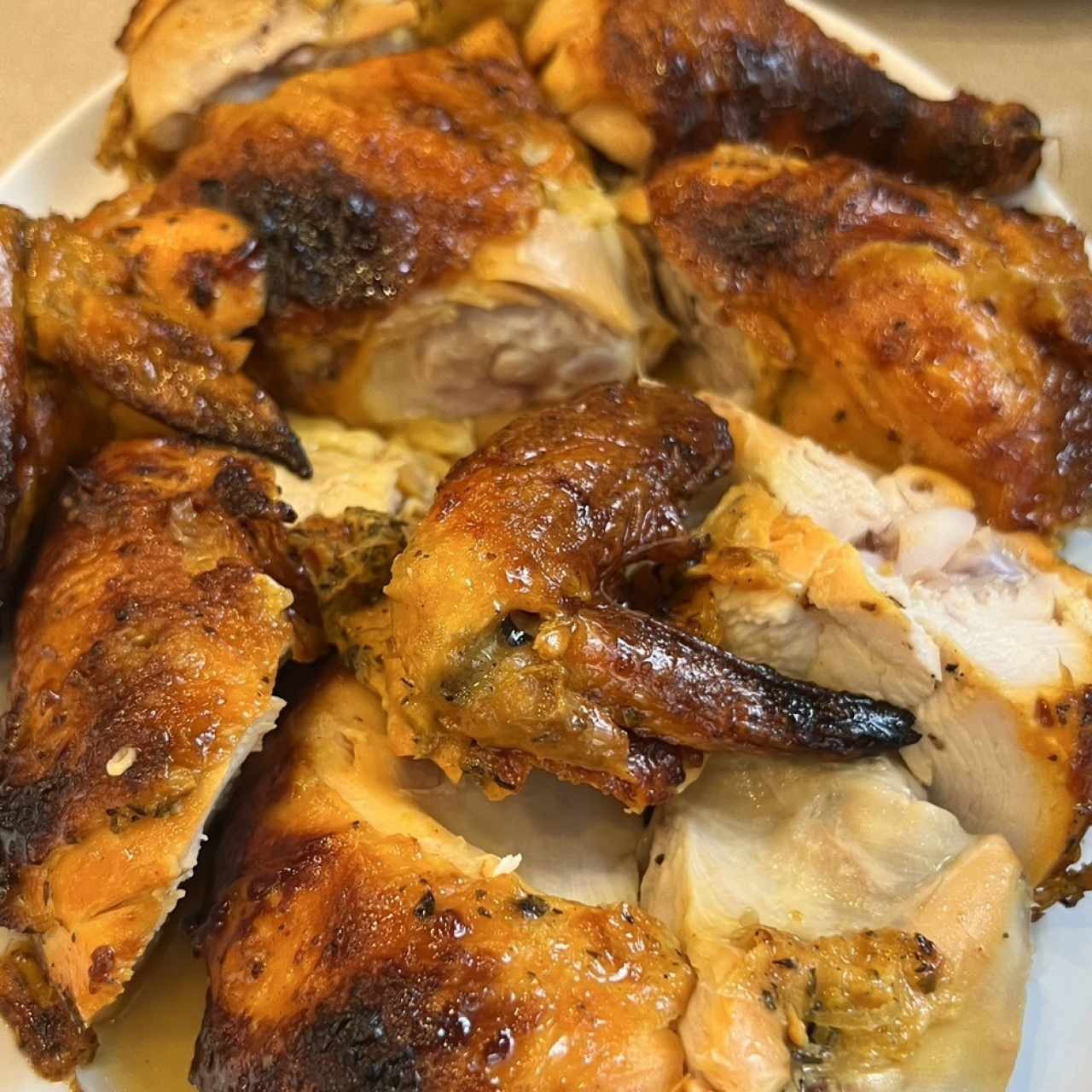 Pollo