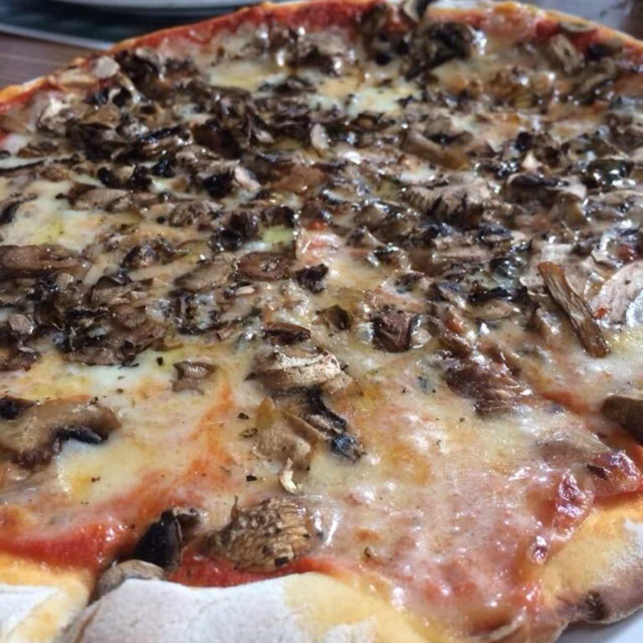 Pizza Funghi