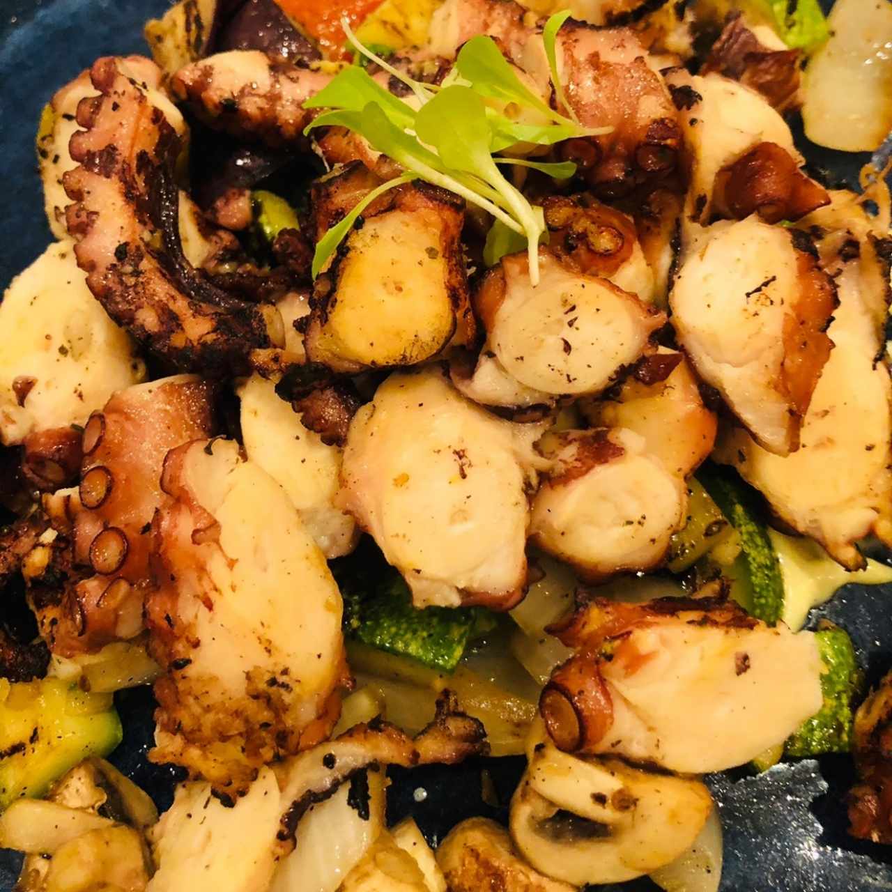 Pulpo