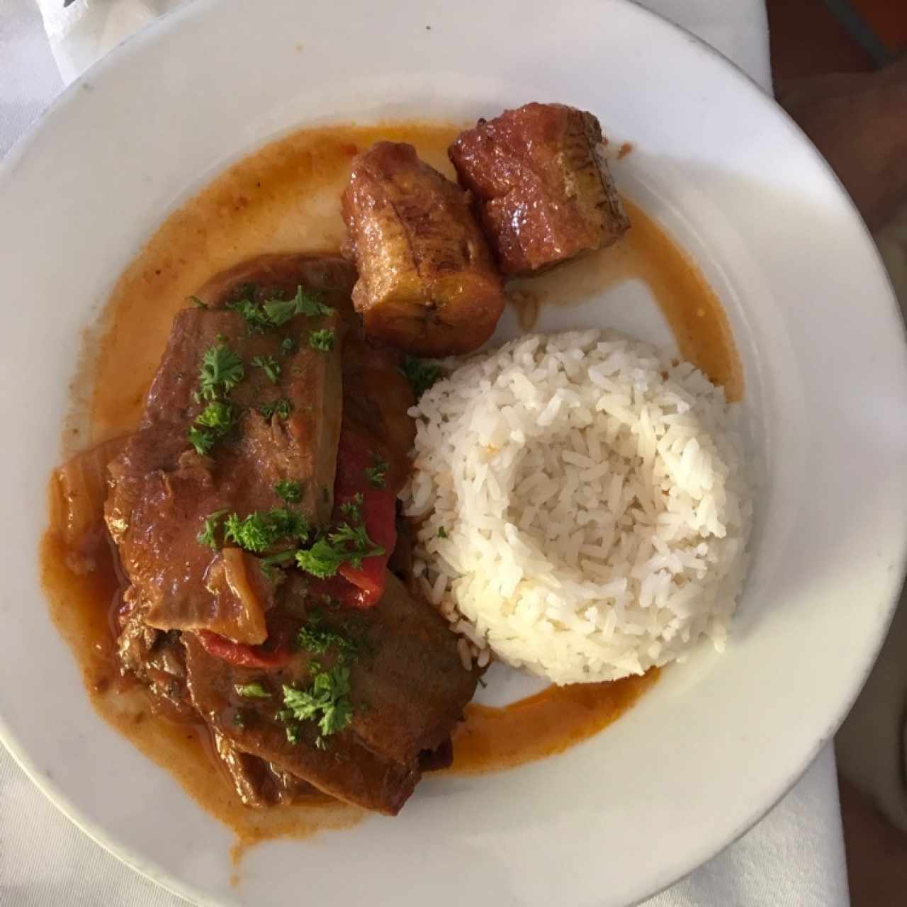 Lengua
